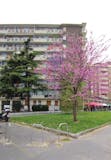 One-bedroom Apartment of 45m² in Via Capecelatro 81