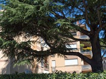 Three-bedroom Apartment of 149m² in Via Oriolo Romano 77